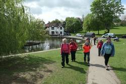 Doctor's Pond, Great Dunmow